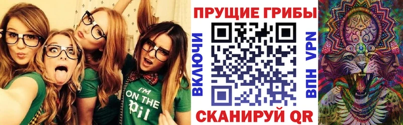Купить где  Кирс  Псилоцибиновые грибы Psilocybine cubensis 